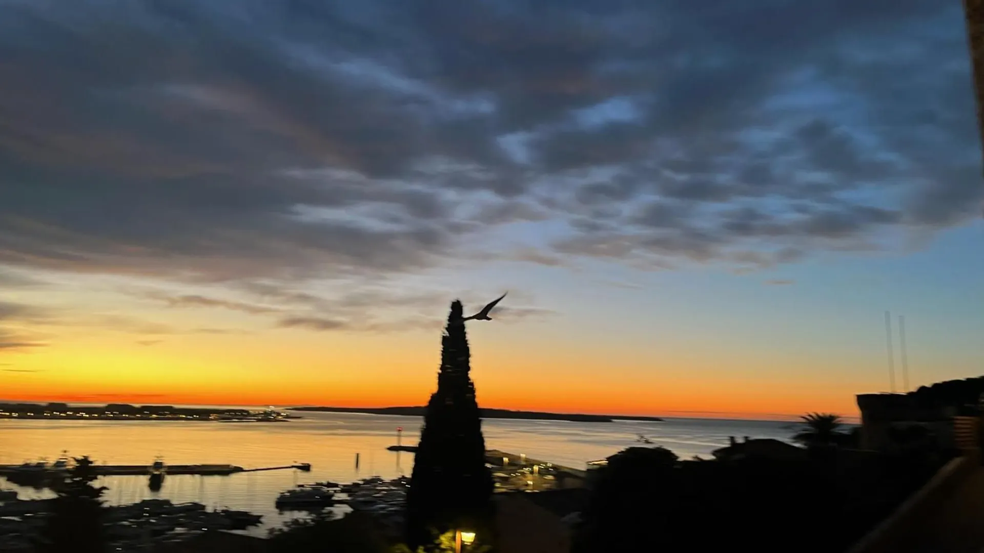 La Maison By Simone T3 Cannes