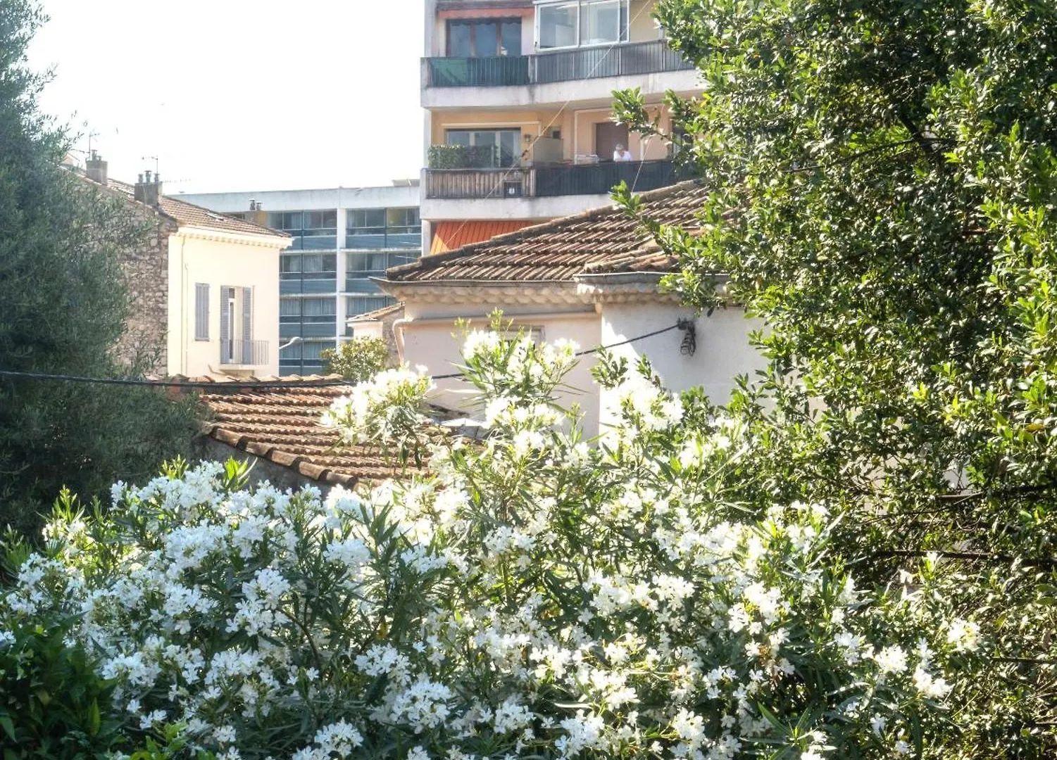 Apartament La Maison By Simone T3 Cannes